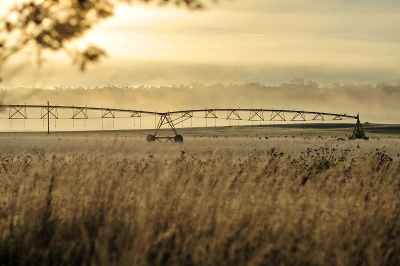 Grower Engagement Strategy