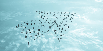 What is the Best Marketing Structure