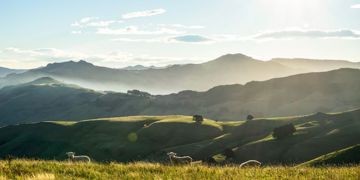 Farmlands Customer Analysis