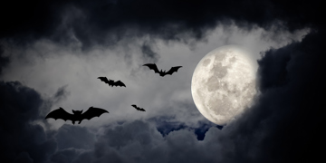 Something strange in the neighbourhood